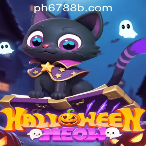 Unveiling the Thrills of HalloweenMeow